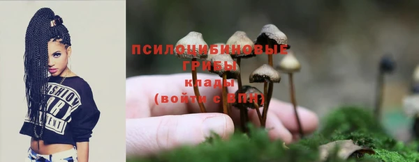 эйфоретик Алексеевка
