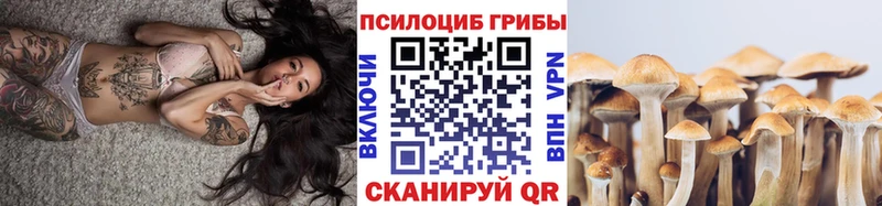 MEGA ССЫЛКА  Петушки  Галлюциногенные грибы Psilocybe 