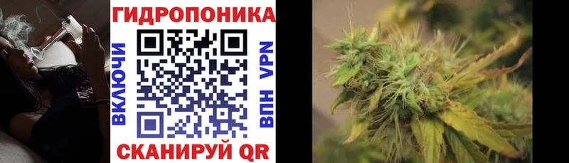 Конопля AK-47  Петушки 